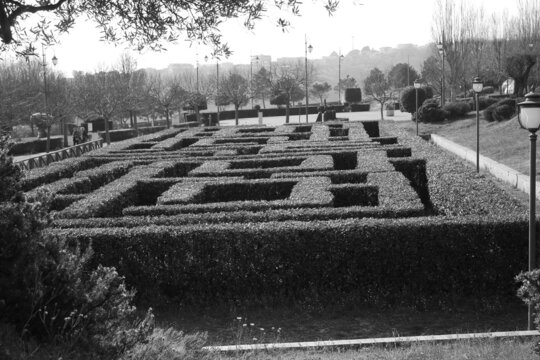 labyrinth Black and White