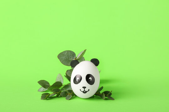 Creative painted Easter egg and branch on green background