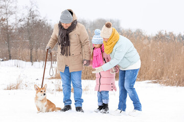 Fototapeta na wymiar Happy little girl and her grandparents walking with Corgi dog on snowy winter day