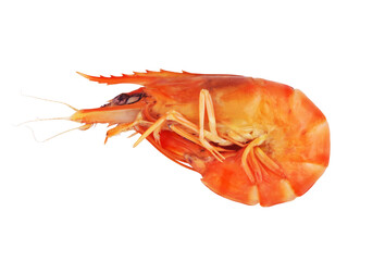 Whole cooked tiger shrimp isolated on white background