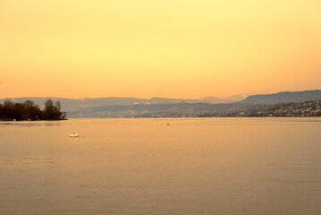 Lake Zürich seen from City of Zürich with orange sky because of Sahara dust with swan couple on a spring day. Photo taken March 15th, 2022, Zurich, Switzerland.