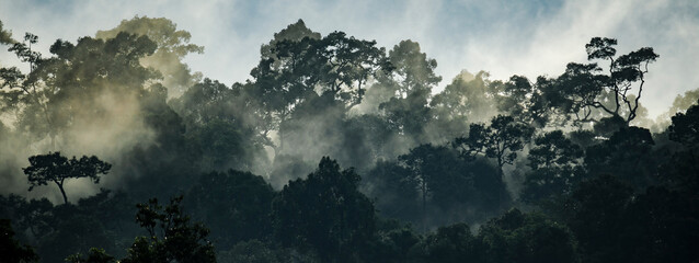 Panorama-Banner-Hintergrund der tropischen Waldlandschaftsszene für die Verwendung im Konzept der Umweltökologie und nachhaltiger Energie oder des Tages der Erde, wildes Holz, szenische Verwendung für Tapeten von Spa und Tourismus