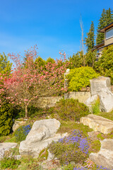 Top of grey stucco luxury house with spring blossom