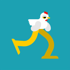 Chicken run isolated. hen farm bird Vector illustration