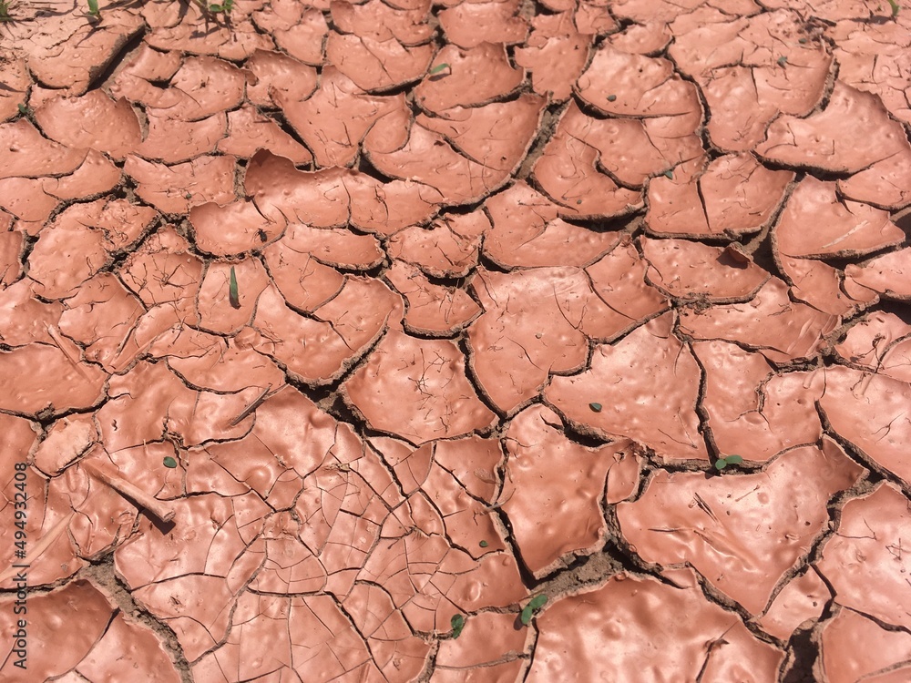 Wall mural background of the dry cracked earth