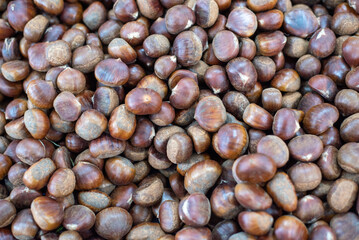 Chestnut