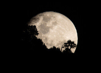 Fototapeta na wymiar full moon over a Mountain
