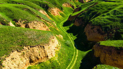 Canyon cliffs mountains green grass top view