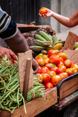 tomato and fresh organic vegetables at a farmer's market in Cuba