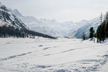 Val Roseg, Piz Roseg, Ova da Roseg, Rosegbach, Piz Sella, Piz Glüschaint, Sellagletscher, Winterwanderweg, Langlaufloipe, Berninagruppe, Oberengadin, Alpen, Winter, Wintersport, Graubünden, Schweiz