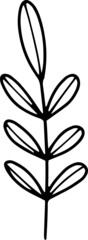 botanical; botany; collection; cute; decor; eucalyptus; fern; floral; flower; foliage; greenery; herb; herbal; illustration; leaf; spring, card, marriage,