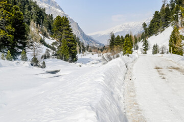 Val Roseg, Ova da Roseg, Rosegbach, Winterwanderweg, Langlauf, Langlaufloipe, Wald, Kutschenfahrt, Berninagruppe, Oberengadin, Piz Roseg, Gletscher, Alpen, Winter, Graubünden, Schweiz