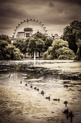 Ferris wheel in St James's Park surrounded by trees, lake, under the moody sky in London