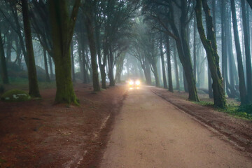Car with headlights on a long path through a mysterious foggy forest