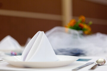 Elegant cloth napkin at table setting