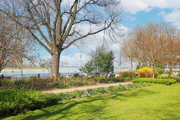 Düsseldorf (Rheingärtchen), Germany - March 23. 2022: View on public rhine riverside garden with green lawn and flowers