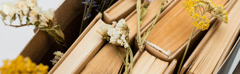 close up of books and dried flowers isolated on grey, top view, banner.