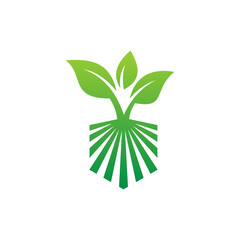 Growing Seed logo design vector , leaf , water and root simple concept