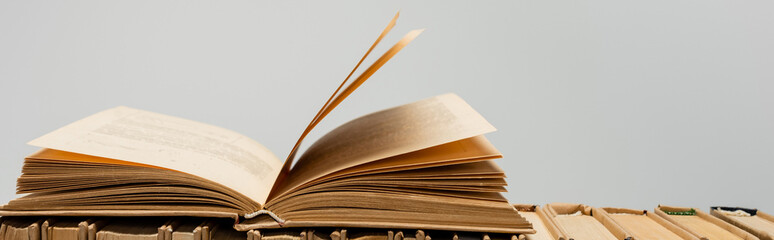 collection of paper books isolated on grey, banner.