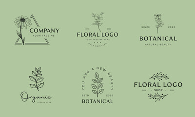 Set of Botanical Floral element Hand Drawn Logo with Wild Flower and Leaves. Logo for spa and beauty salon, boutique, organic shop, wedding, floral designer, interior, photography, cosmetic