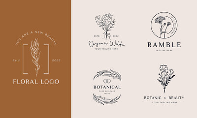 Set of Botanical Floral element Hand Drawn Logo with Wild Flower and Leaves. Logo for spa and beauty salon, boutique, organic shop, wedding, floral designer, interior, photography, cosmetic