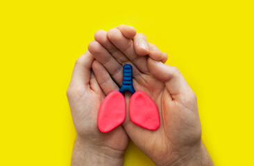 Adult hands holding lung on yellow background , world tuberculosis day, world no tobacco day, lung...