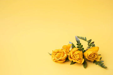 Three yellow roses are lying in the corner on a yellow background