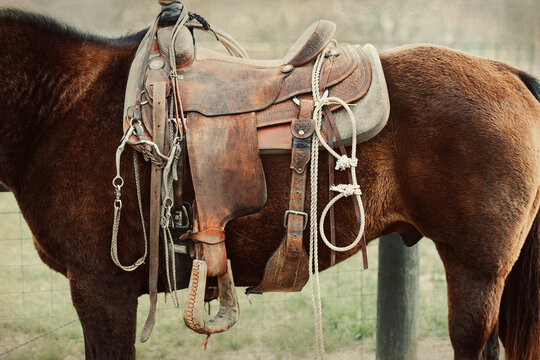 A close up image of a western saddle on a work horse on a ranch or farm with a vintage feel