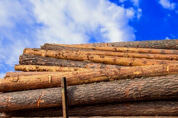 Raw timber in the open air on a summer day