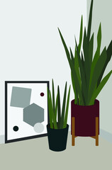 Vector flat image of a room with gray walls. Green home plants in colored pots and a frame. Design for postcards, posters, backgrounds, templates, textiles.