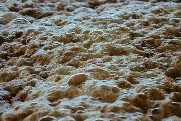 Blue agave (Agave tequilana) mosto (must) ferments in a stainless tank prior to tequila distillation
