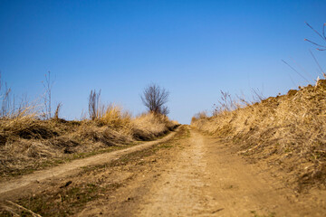 road in the field