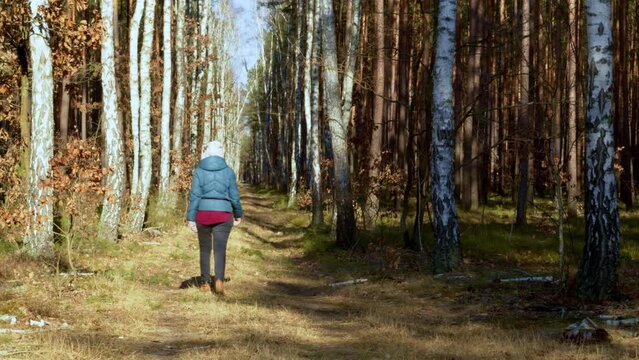 Female person on forest walk in early spring sunny day. Poland, Europe.