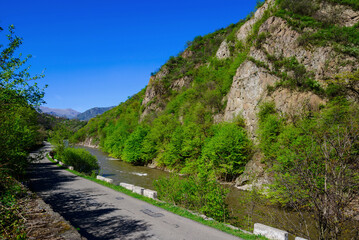 Fototapeta na wymiar Fabulous mountain landscape and Debed river, Armenia