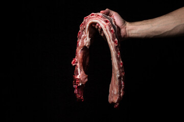 Raw pork ribs on a black background. The hand holds fresh pork meat.