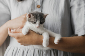 Cute little kitten in hands of woman in rustic dress. Portrait of sweet kitty. Love, care, adoption