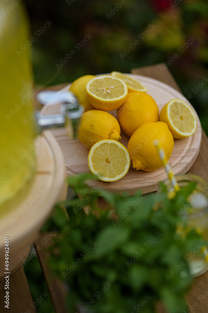 Canvas Prints Vertical photo of lemon and homemade lemonade with mint and ice on a wooden bench in the garden