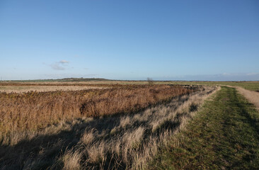 A beautiful scenic view of a rural footpath through Blue House Farm nature reserve in Essex, UK. 