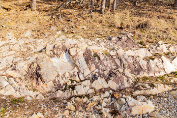 Close up shot of Quartz rock in Goat Rock Trail