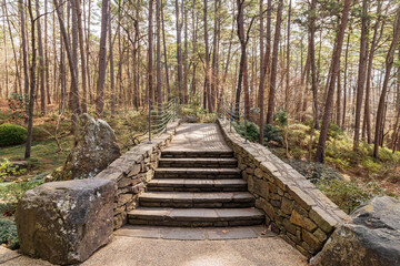 Sunny view of the Japanese garden in Garvan Woodland Gardens