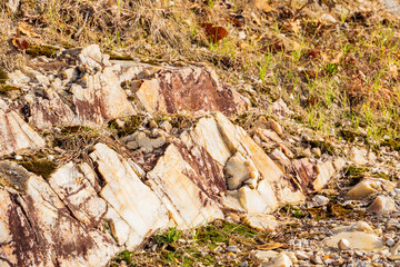 Close up shot of Quartz rock in Goat Rock Trail