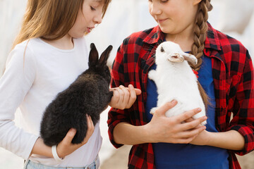 Two girlfriends play with little rabbits, close-up