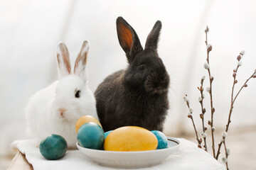 White and black Easter bunnies