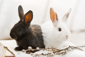Pair rabbits with willow