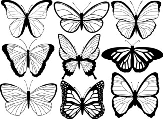 seamless pattern with butterfly