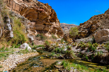 Wadi  Bin Hammad, Moab Plateau, Jordan.