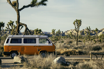 Closeup of an Orange and white van in a forest of Joshua trees