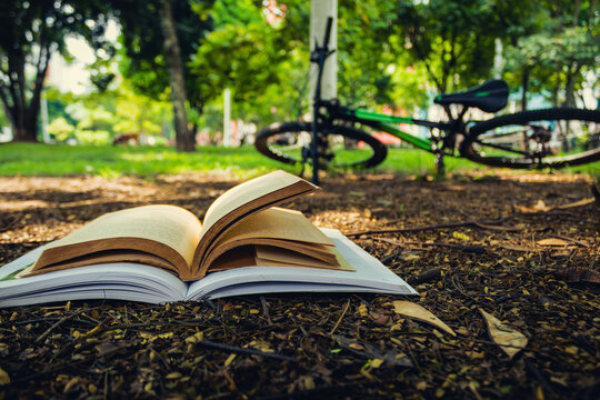 libro abierto en el parque con bicicleta