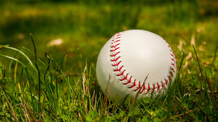 Baseball ball outside in grass