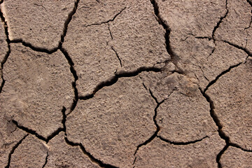 Soil drought and Famine 2022